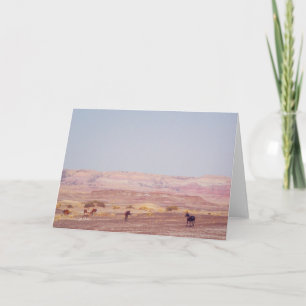 Tarjeta Caballos de desierto americanos P8670