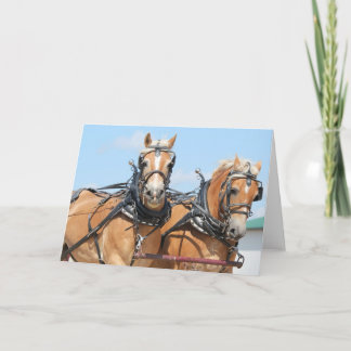 Tarjeta Caballos de Haflinger