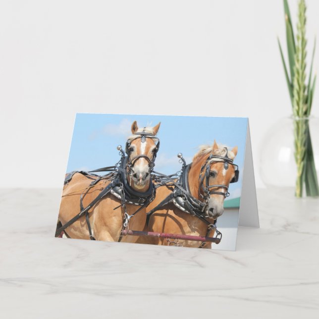 Tarjeta Caballos de Haflinger (Anverso)