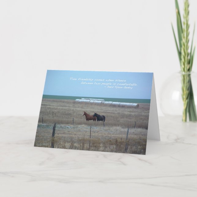 Tarjeta Caballos de Kansas en pasto (Anverso)