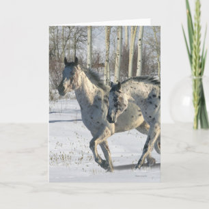 Tarjeta Caballos de la fantasía: País de las maravillas