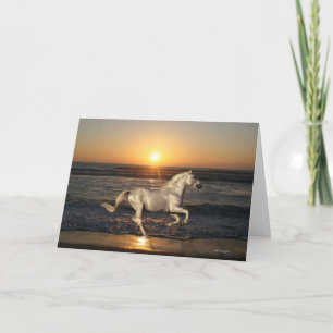 Tarjeta Caballos de la fantasía: Puesta del sol