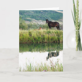 Tarjeta Caballos de Montana