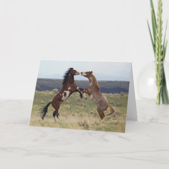 Tarjeta Caballos de pelea, Steens Mountains, Oregon (Anverso)