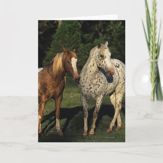 Tarjeta Caballos del Appaloosa (Anverso)
