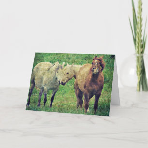 Tarjeta Caballos divertidos, el día de padre