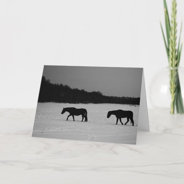Tarjeta Caballos En Gcnm De Nieve (Anverso)