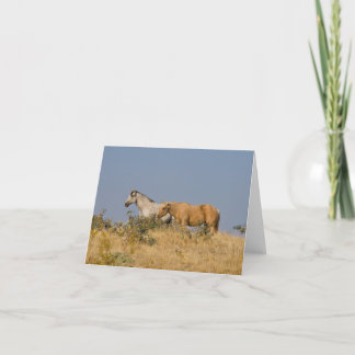 Tarjeta Caballos en la colina del pasto