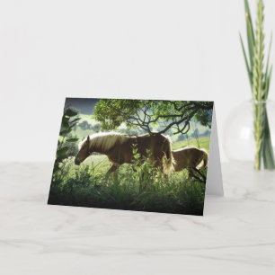 Tarjeta Caballos en la pradera