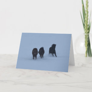 Tarjeta Caballos islandeses