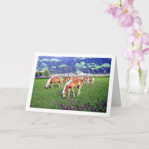 Tarjeta Caballos pastando en Austria