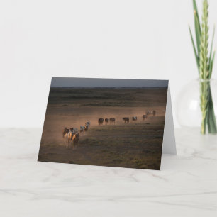 Tarjeta Caballos Salvajes Caminando Hacia el Desierto