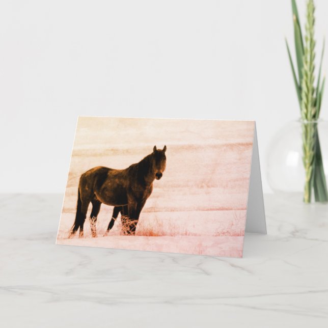 TARJETA CABALLOS SALVAJES DE UTAH ONAQUI HERD (Anverso)