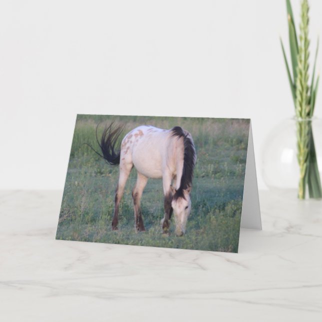 TARJETA CABALLOS SALVAJES DE UTAH OURAY (Anverso)