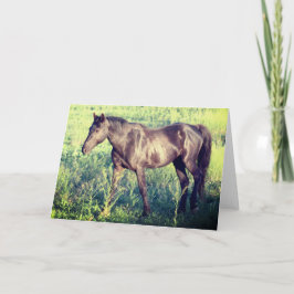 TARJETA CABALLOS SALVAJES DE UTAH OURAY NOTECARD