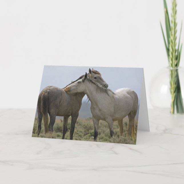 Tarjeta Caballos salvajes desmoronándose (Anverso)