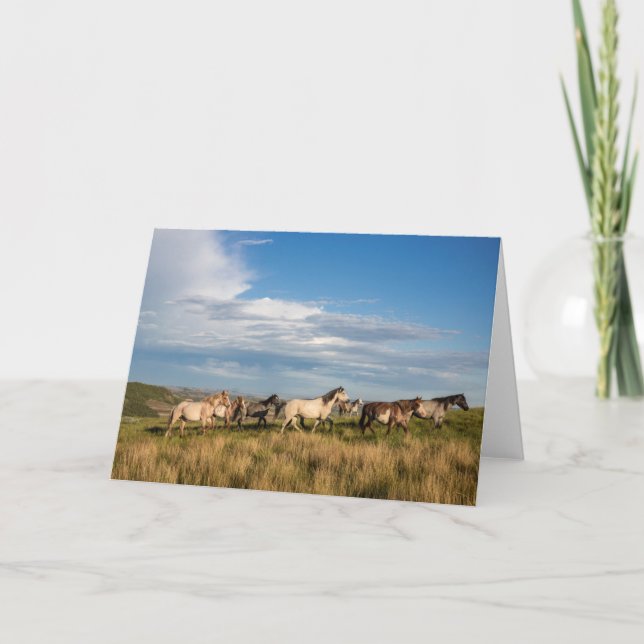 Tarjeta Caballos salvajes en el Parque Nacional Theodore R (Anverso)