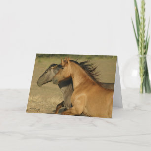 Tarjeta Caballos salvajes que vuelven a la libertad