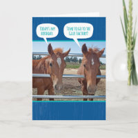 Caballos viejos divertidos- Tiempo para la Fábrica