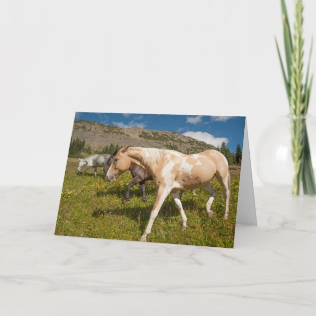 Tarjeta Caballos y mulas (Anverso)