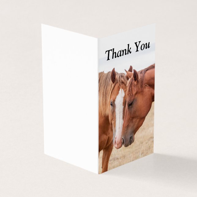 Tarjeta Caballos zumbando en un pasto (Exterior)