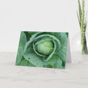 Tarjeta Cabbage