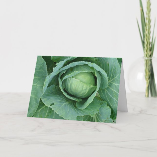 Tarjeta Cabbage (Anverso)