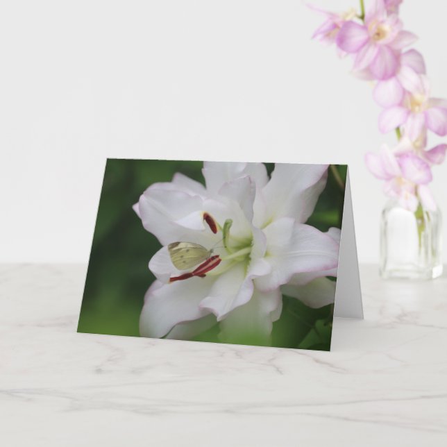 Tarjeta Cabbage White Butterfly on Lily Photo Blank Card (Orquídea)