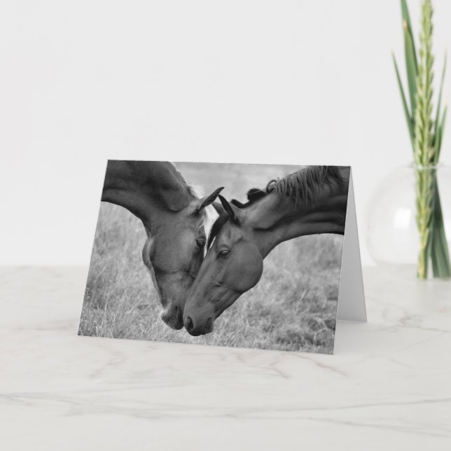 Tarjeta Cabecera (Anverso)