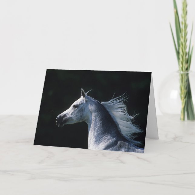 Tarjeta Cabeza árabe de caballo 2 (Anverso)
