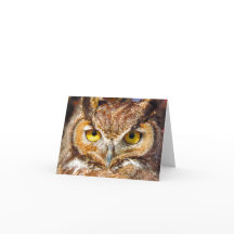 Cabeza de búho - Ojos (Búho de cuerno grande)