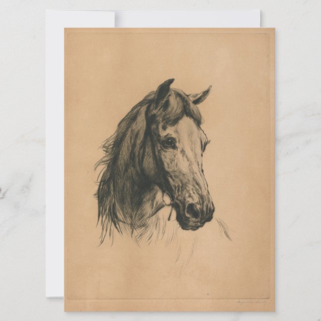 Tarjeta Cabeza de caballo (por Heywood Hardy) (Anverso)