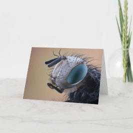 Tarjeta Cabeza de error de insecto de cierre