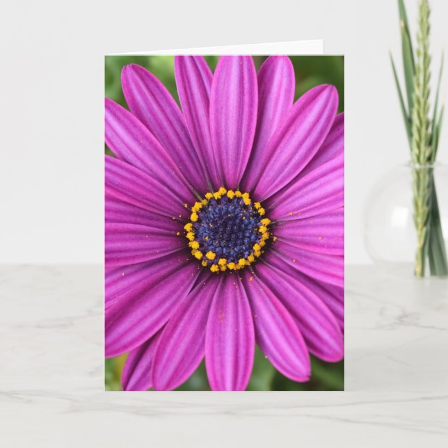Tarjeta Cabeza de flor púrpura perfecta (Anverso)