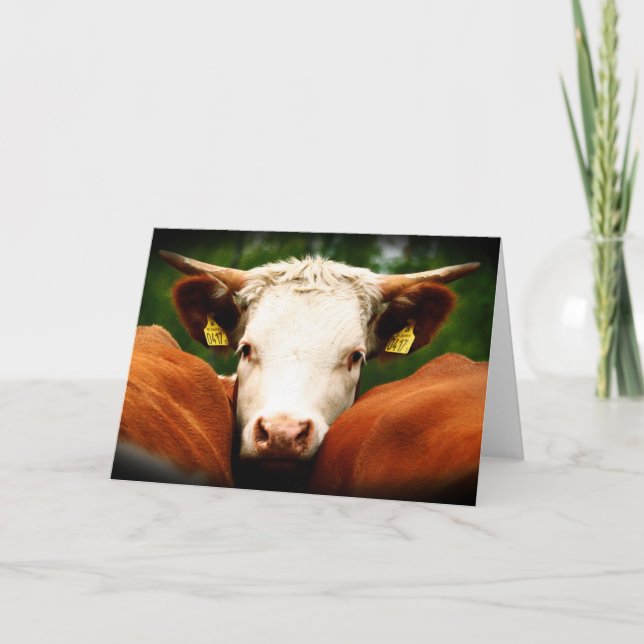 Tarjeta Cabeza de las vacas (Anverso)