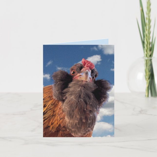 Tarjeta Cabeza de Pollo Barbudo Curioso Primer Plano (Anverso)