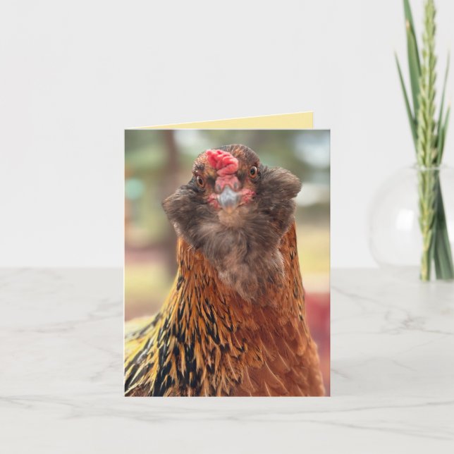 Tarjeta Cabeza de Pollo Barbudo Divertida Primer Plano (Anverso)