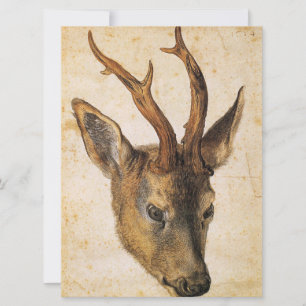 Tarjeta Cabeza de un Stag (Animal salvaje) (por Albrecht D