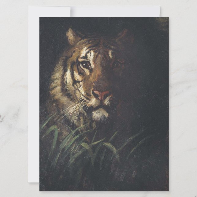 Tarjeta Cabeza del tigre (por Abott Handerson Thayer) (Anverso)