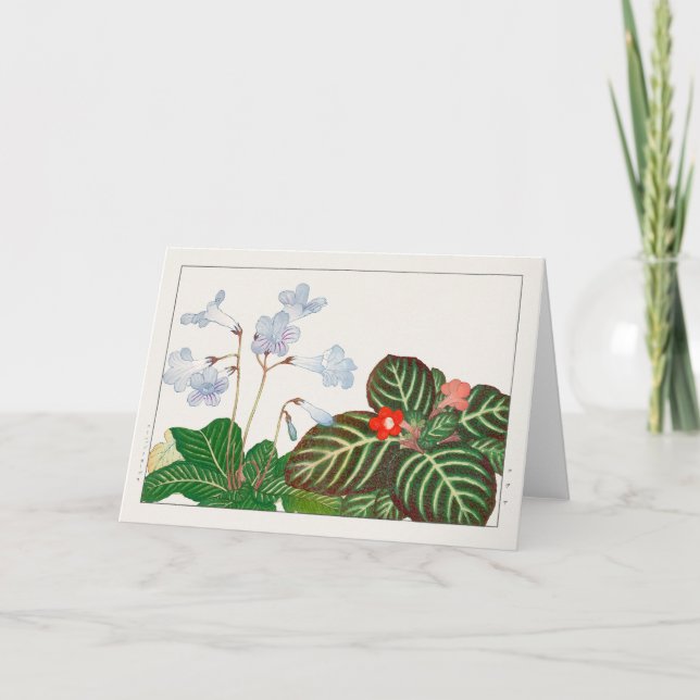 Tarjeta Cabo primarosa, violeta de llama por Tanigami Kona (Anverso)