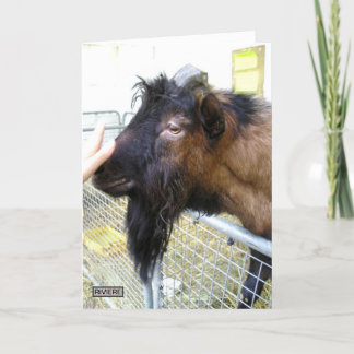 Tarjeta Cabra amistosa