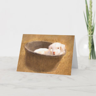 Tarjeta Cabra Bebé En Un Cumpleaños De Cubo