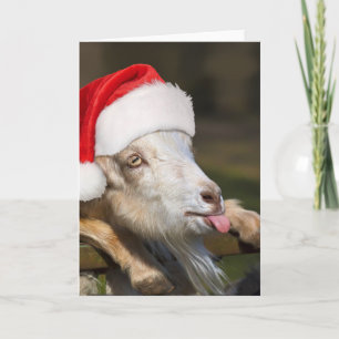 Tarjeta Cabra de Navidad