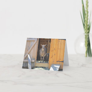 Tarjeta Cabra Notecard de la madre y del bebé