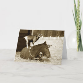 Tarjeta Cabra parada en caballo paciente