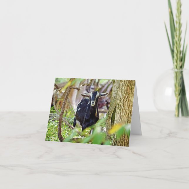 Tarjeta Cabra sonriente (Anverso)