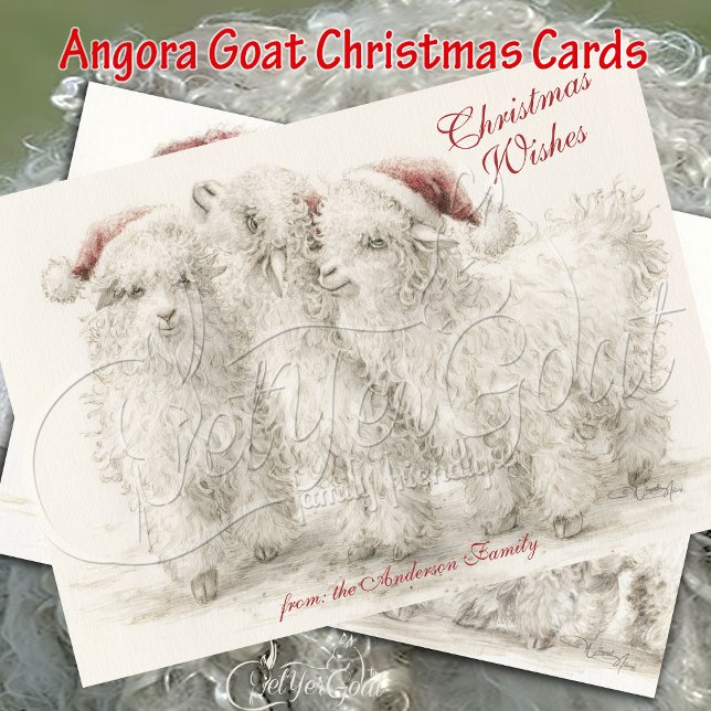 Tarjeta Cabras de Navidad de Angora (Subido por el creador)