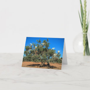 Tarjeta Cabras divertidas en los árboles