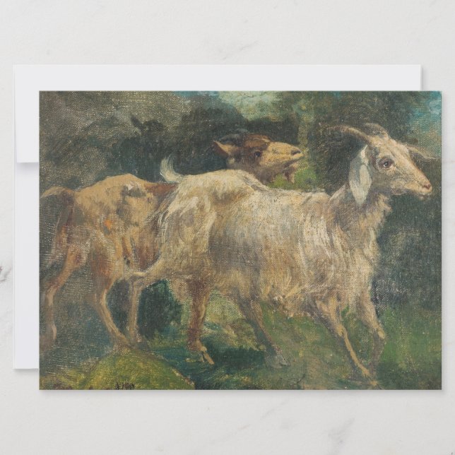 Tarjeta Cabras (por Vincenzo Caprile) (Anverso)