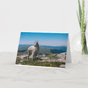 Tarjeta Cabras y cabras (17)